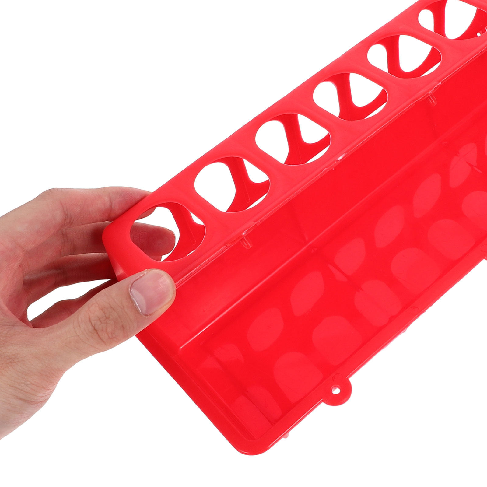 4 pezzi di mangiatoie per poll - Feeding recensione e prezzo